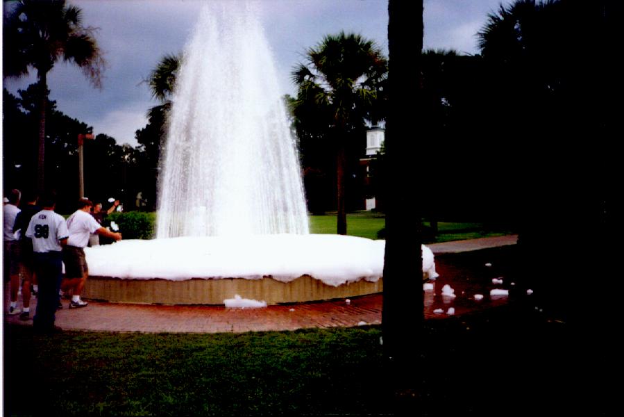 Foam_fountain2.JPG (55639 bytes)